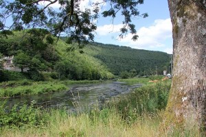 Vallée de la Semois à Alle