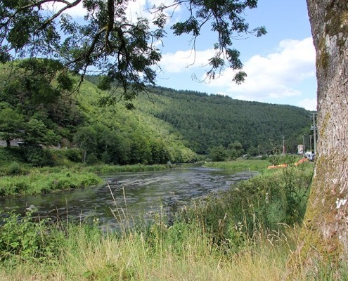 Vallée de la Semois à Alle